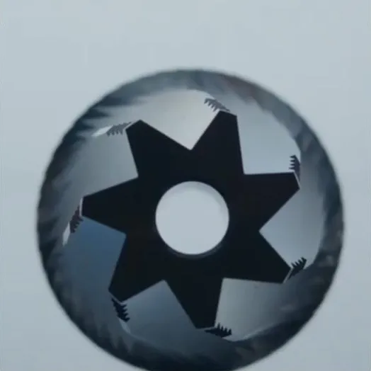 The C6’s inner burr, with seven star-shaped points