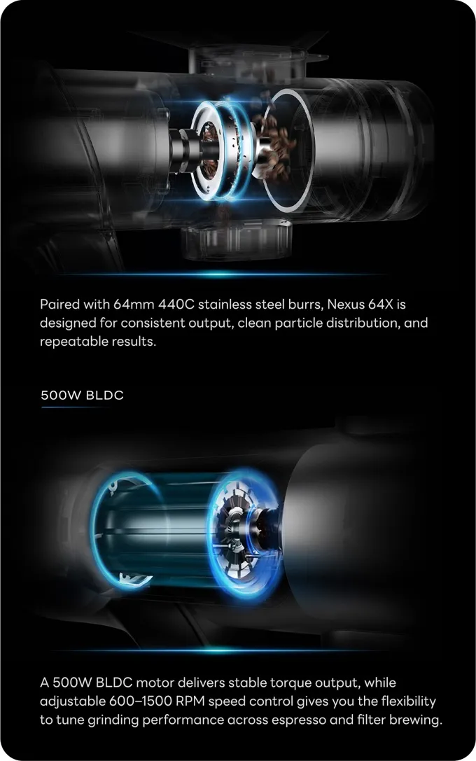Rendered cutaway of the Nexus 64X 500 W brushless motor and burr assembly